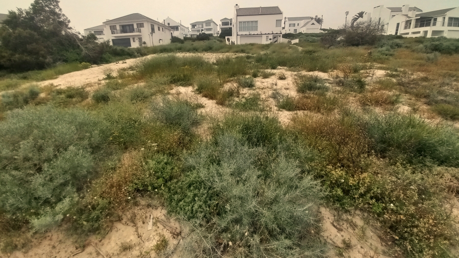 0 Bedroom Property for Sale in Shelley Point Western Cape